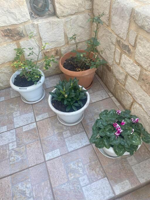 New Lovely Apartment In Heraklion エクステリア 写真